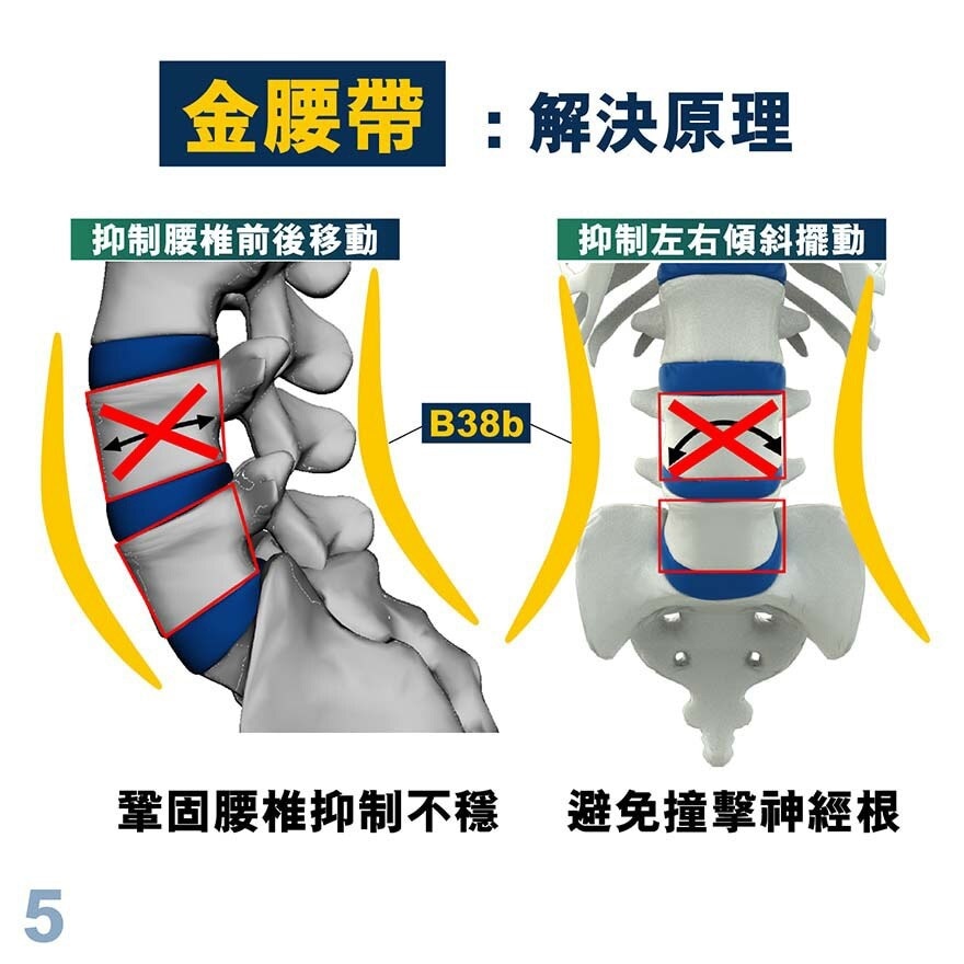 MEDEX Back Support (with Cinch Device)