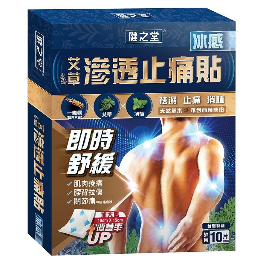 HMT Chinese Herbal Pain Relieving Patch (ice Cooling) 10s