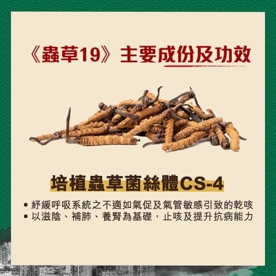 KING OF CORDYCEPS 蟲草19