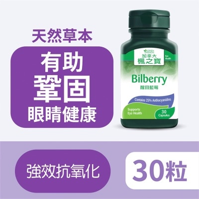 ADRIEN GAGNON Bilberry (30 Capsules)