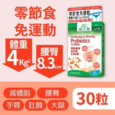 楓之寶 燃脂瘦身益生菌 150億 (30粒)