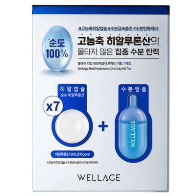 WELLAGE - Wellage Real Hyaluronic One Day Kit