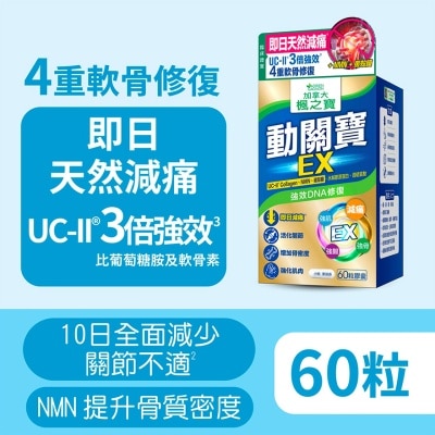 ADRIEN GAGNON Uc ii Collagen Ex + Nmn + Nem (60 Pcs) image
