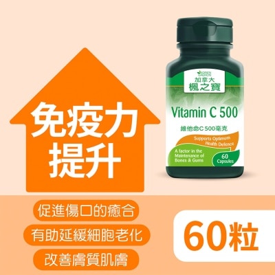 ADRIEN GAGNON Vitamin C 500 (60 Capsules) image