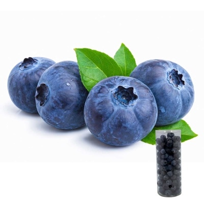 Blueberry Tube