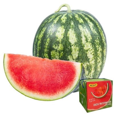 ８４２４西瓜（中國）