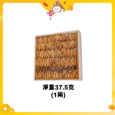 BGS Cordyceps (south Africa)