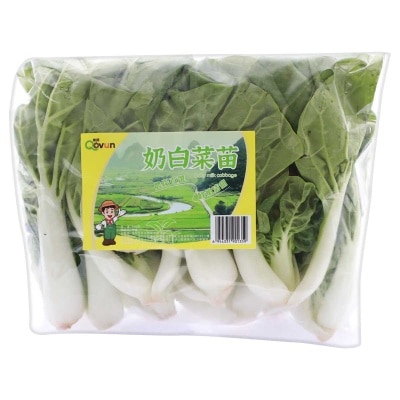 蜜語 - 奶白菜苗