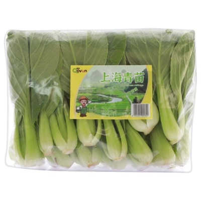 蜜語 - 上海青苗