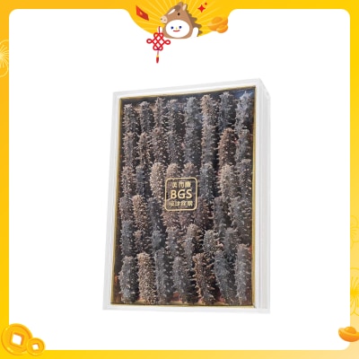 BGS Sea Cucumber