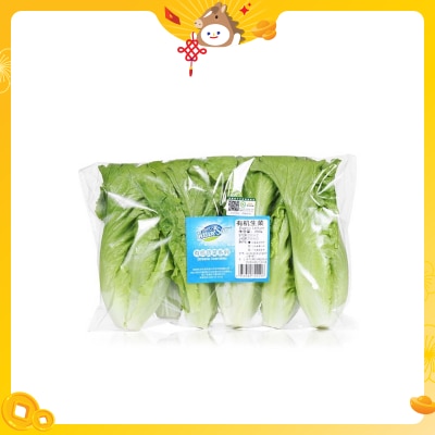 NATURE STAR 有機生菜