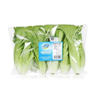 NATURE STAR - 有機生菜