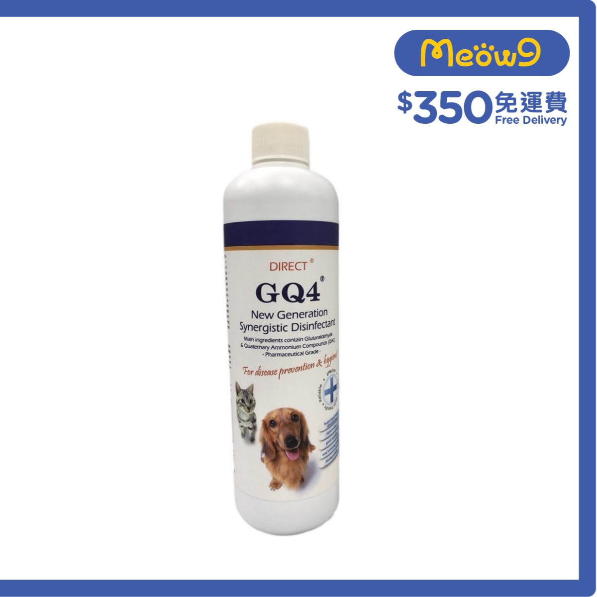Direct [GQ4] 新世代高效防菌消毒液 (500ml)24小時抗禦病毒惡菌先鋒 - DIRECT