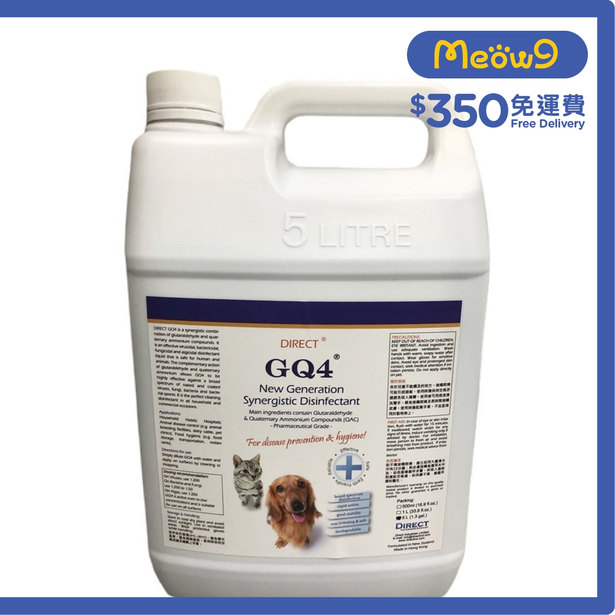 Direct [GQ4] 新世代高效防菌消毒液 (5L)24小時抗禦病毒惡菌先鋒 - DIRECT
