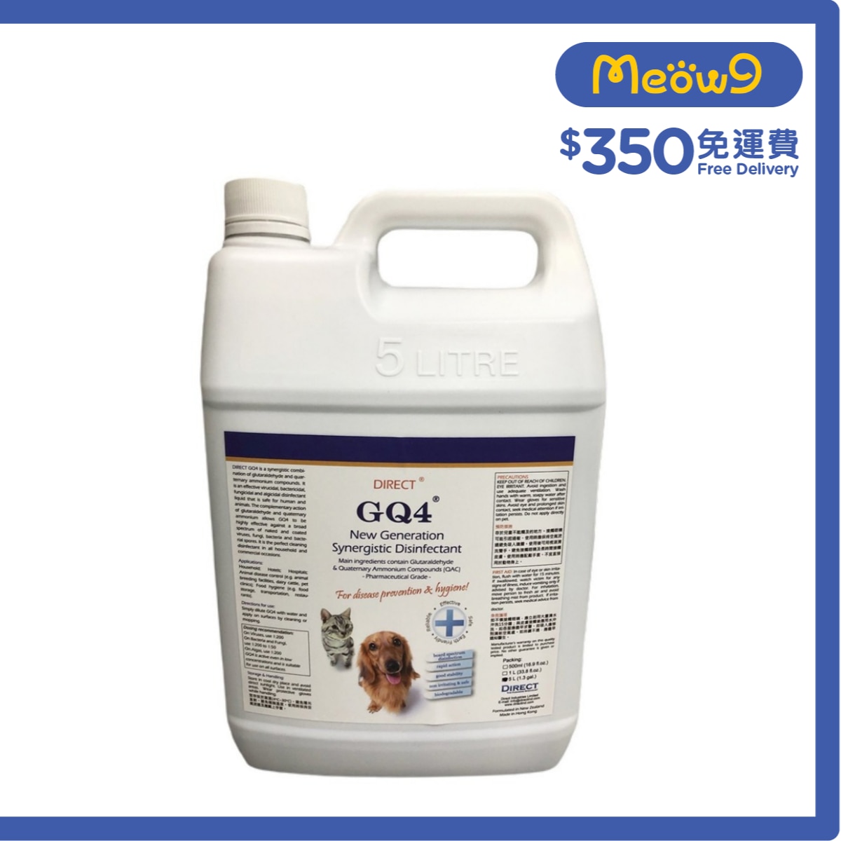 Direct [GQ4] 新世代高效防菌消毒液 (5L)24小時抗禦病毒惡菌先鋒 - DIRECT