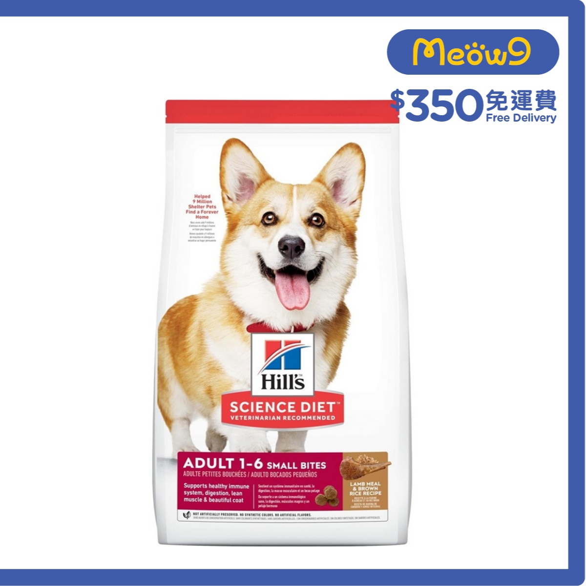 HILLS Everyday Diet (Adult 1-6/Small Bite/Lamb & Rice/3KG) Dog Food- Hills