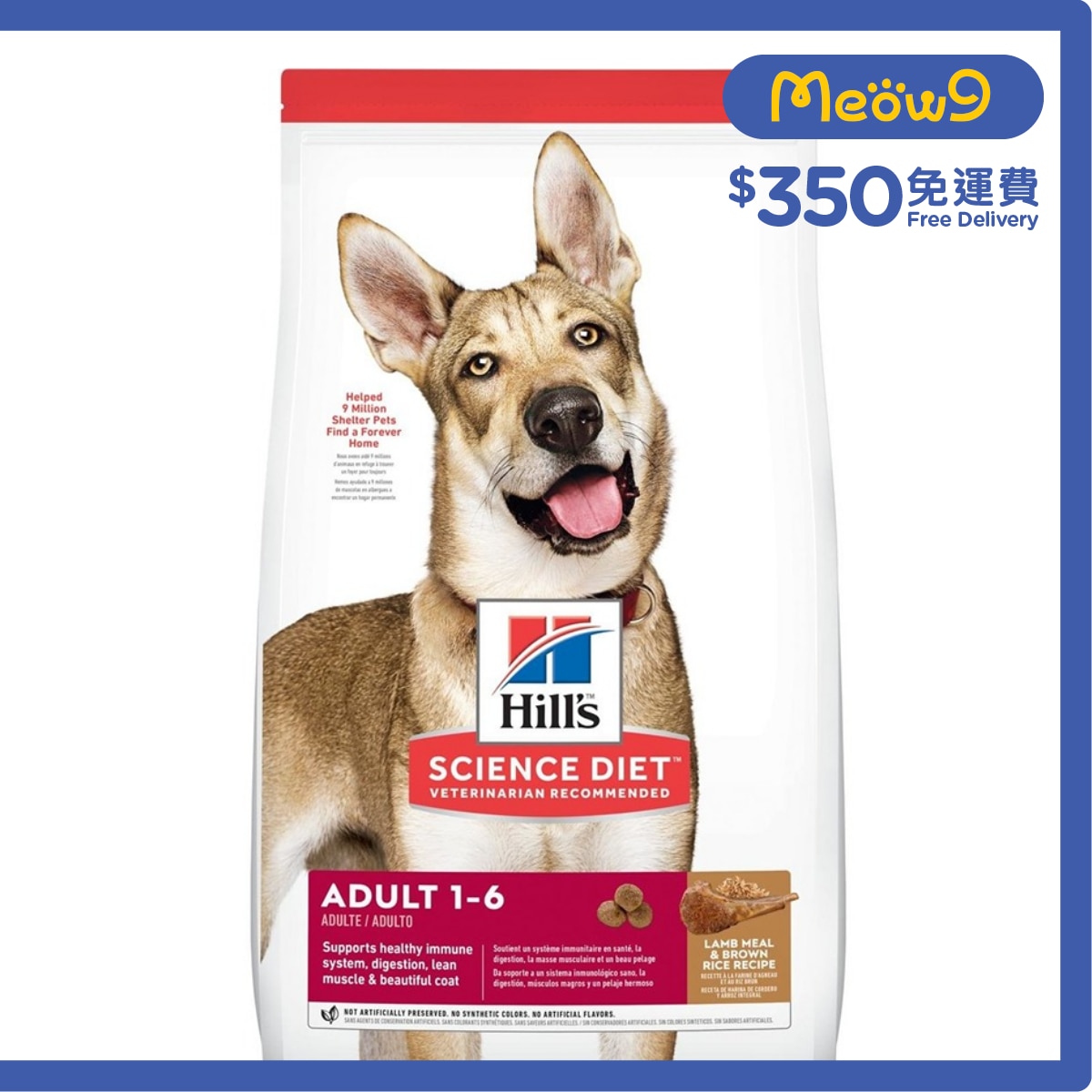 HILLS 日常系列 (成犬1 - 6/標準粒/羊飯/15.5磅) 狗糧 - HILLS