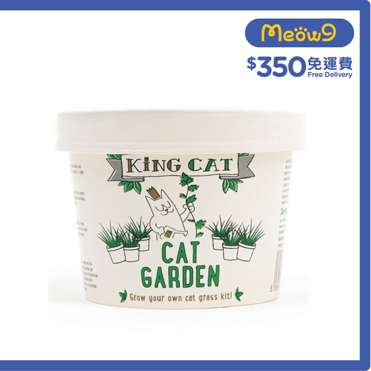 KING CAT King CatNip Cat Grass (12g)- King Cat