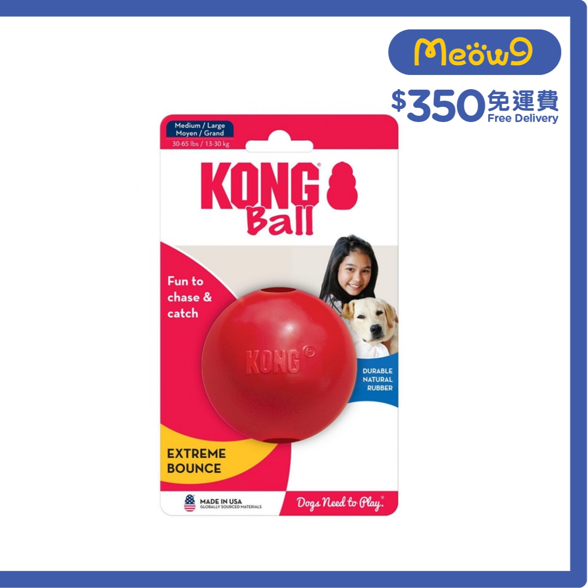 KONG 實心球狗玩具 (Size L, 3") - KONG