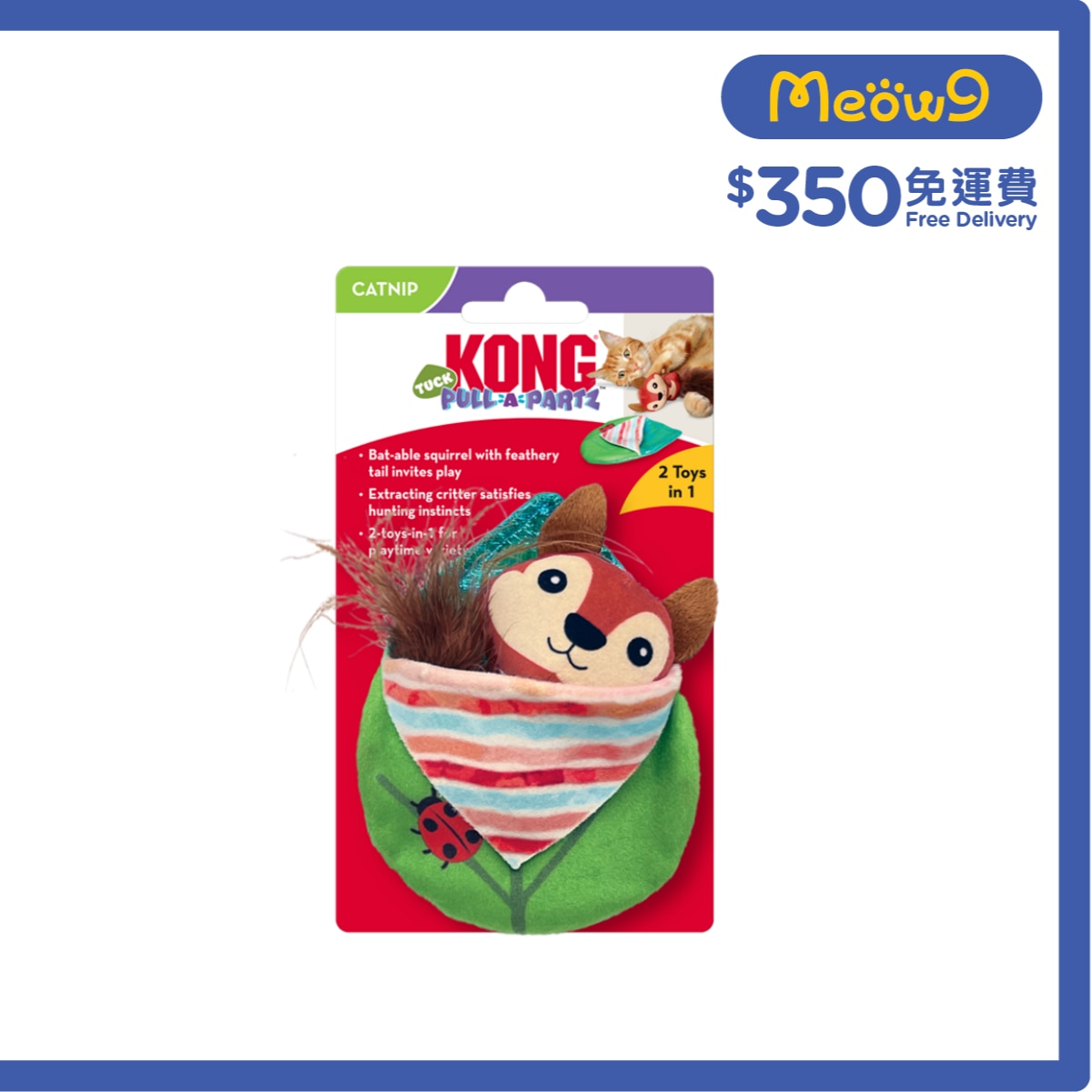 KONG 松鼠型貓玩具 - KONG