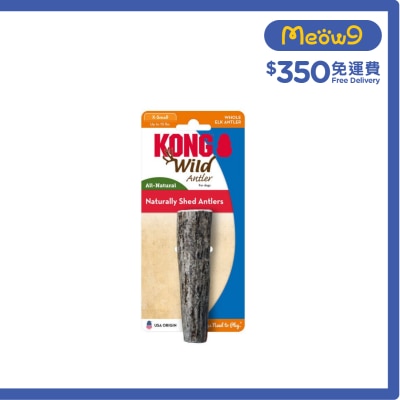 原條野生鹿角(Size XS, ~4"x1") - KONG