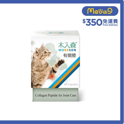 木入森 貓用有關膝 (60顆) - 木入森