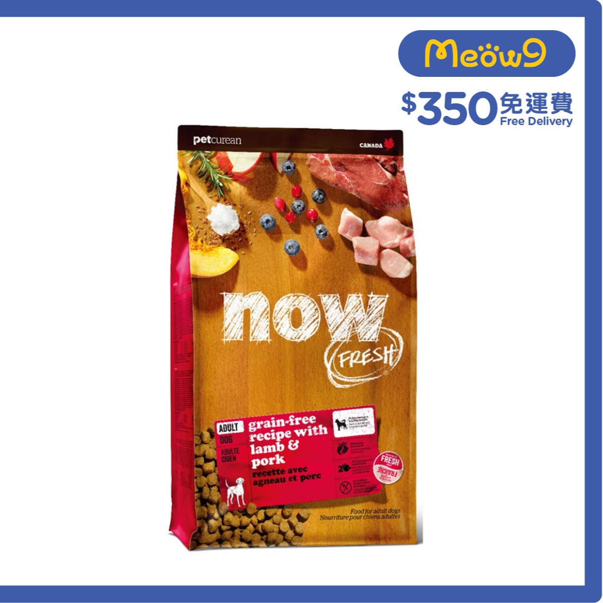 NOW FRESH 成犬 紅肉配方: 羊肉, 豬肉 狗糧 (22lb) - NOW FRESH