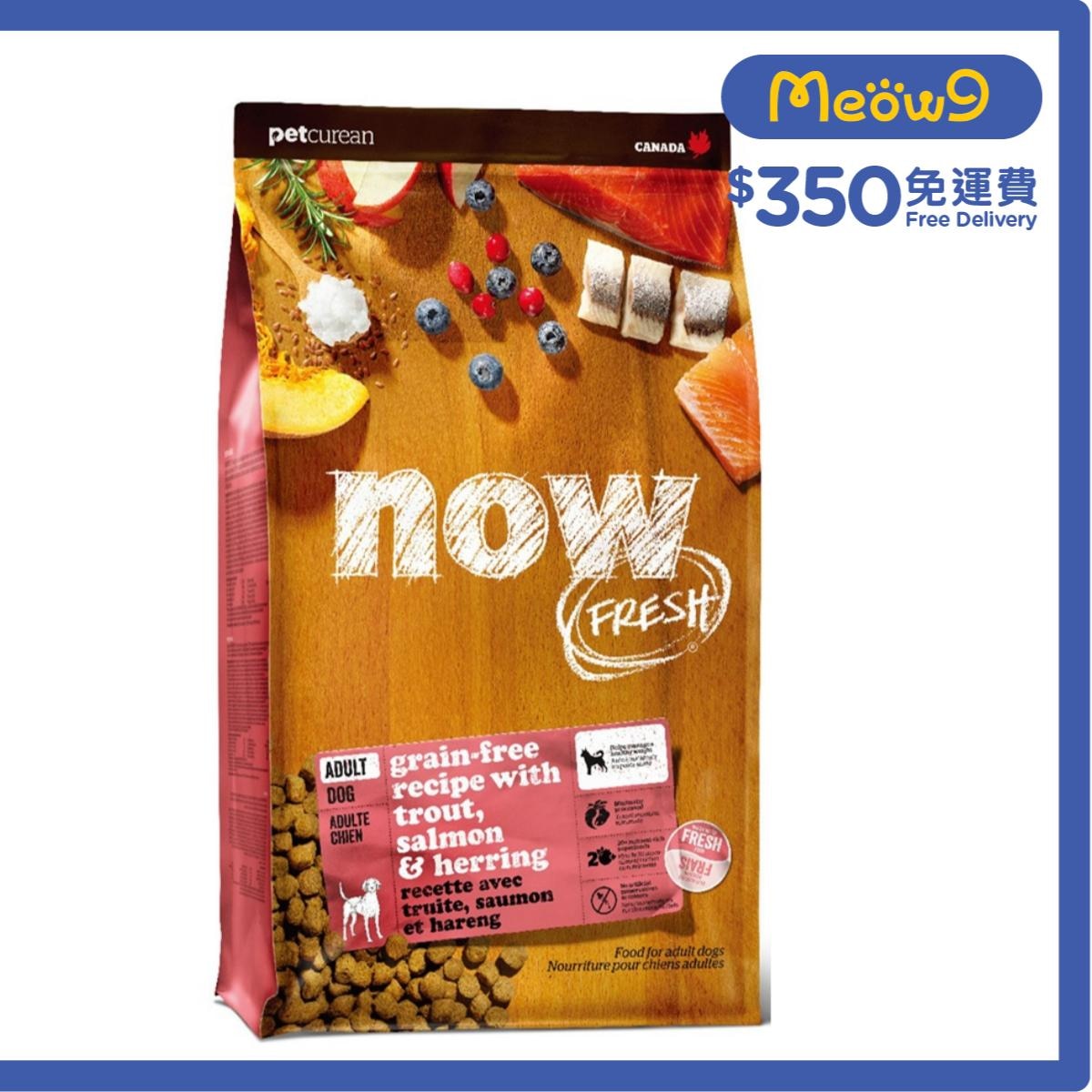 NOW FRESH ADULT Dog - Fish: Trout, Salmon & Herring Dog Food (22lb) - NOW FRESH