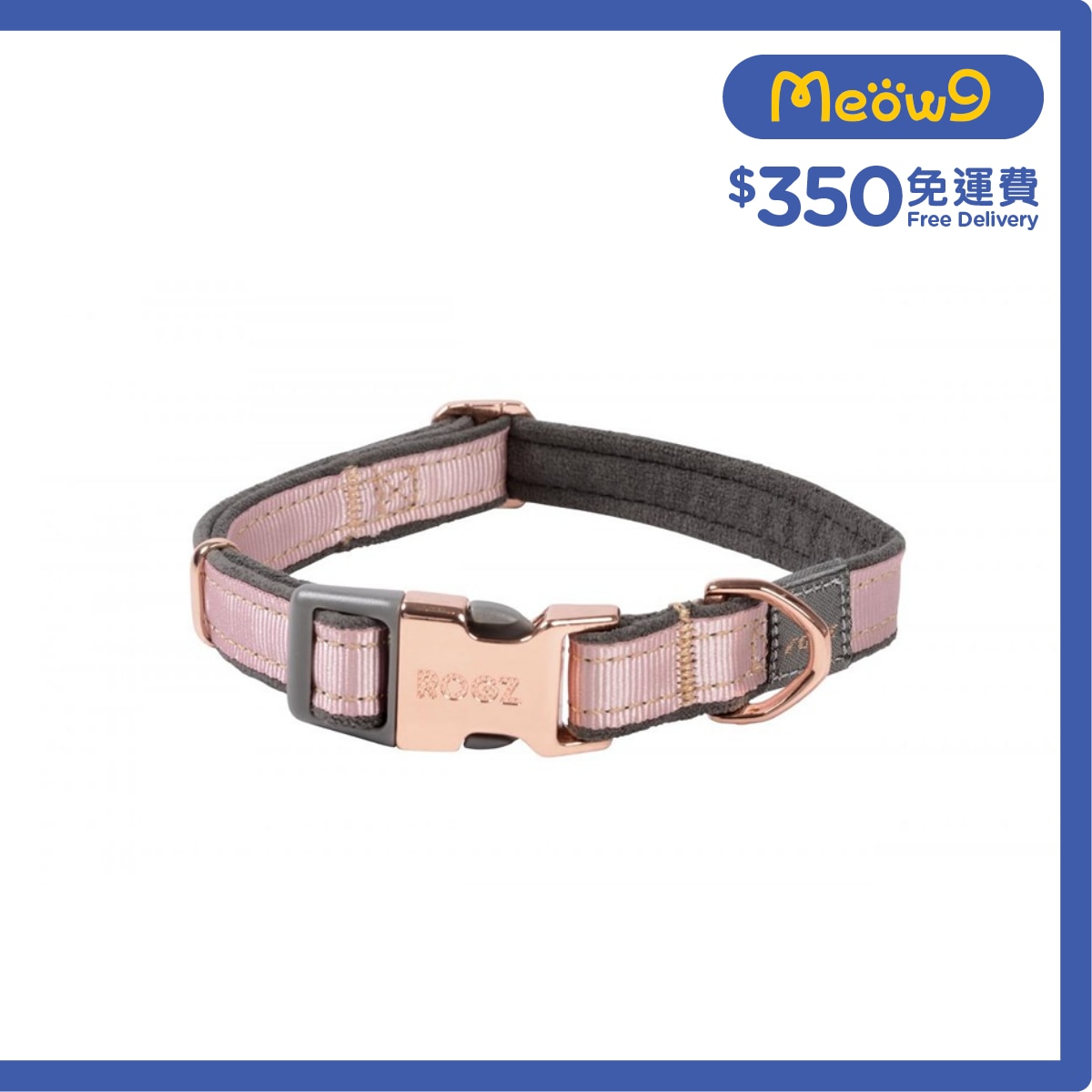 ROGZ HB275 - PB Urban Classic 項圈 (M) - 粉紅色 - Rogz