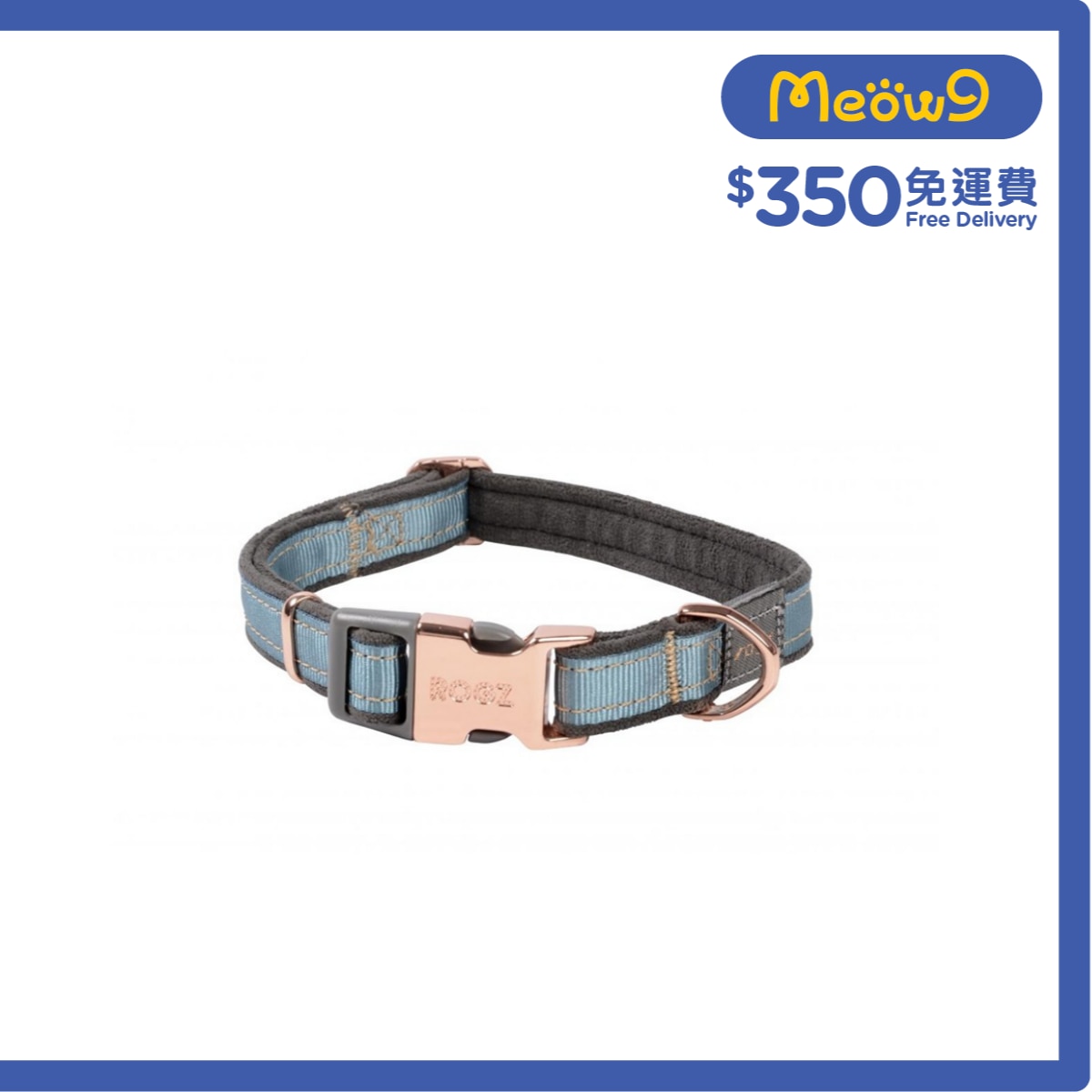 ROGZ HB275 - TM Urban Classic 項圈 (M) - 松石綠色 - Rogz