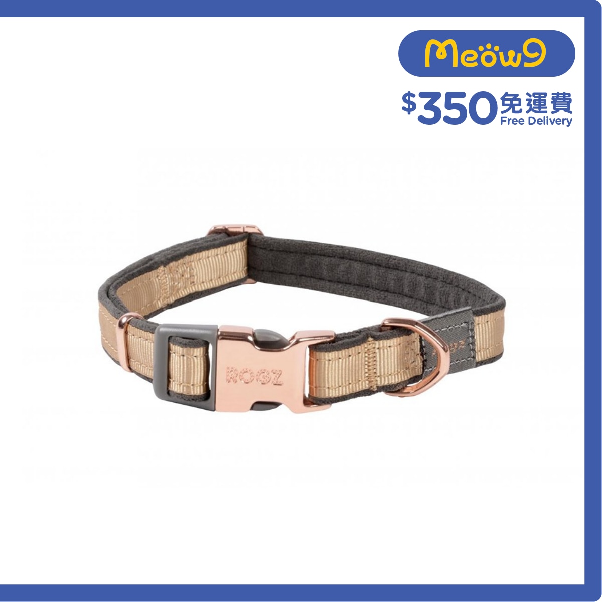 ROGZ HB275 - GR Urban Classic 項圈 (M) - 金色 - Rogz