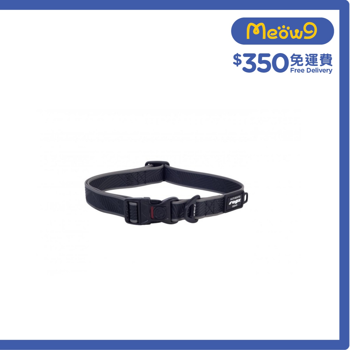ROGZ HB65L - A Amphibian Classic Collar 項帶 (L) - 黑色 - Rogz