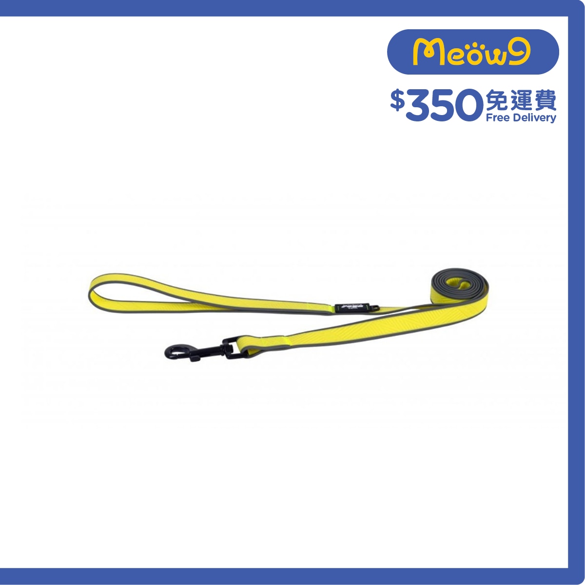 ROGZ HL65L 140 - H Amphibian Classic Lead 拖帶 (L) - 螢光黃色 - Rogz