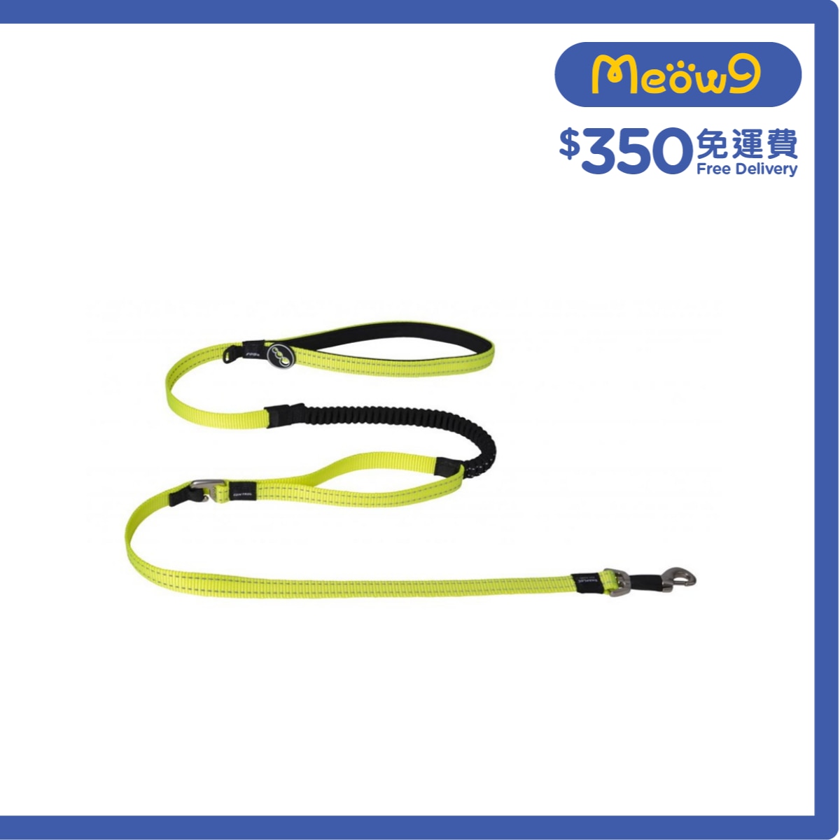 ROGZ HLOC16 Control Lead 彈弓帶 (M) 螢光黃色 Rogz image