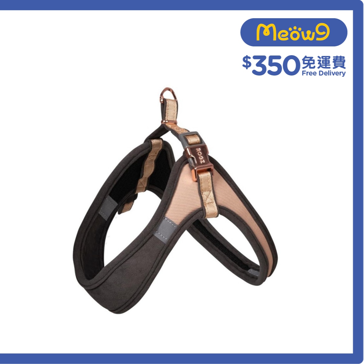 ROGZ SJQ275 - GR 可調式胸帶 (M) - 金色 - Rogz