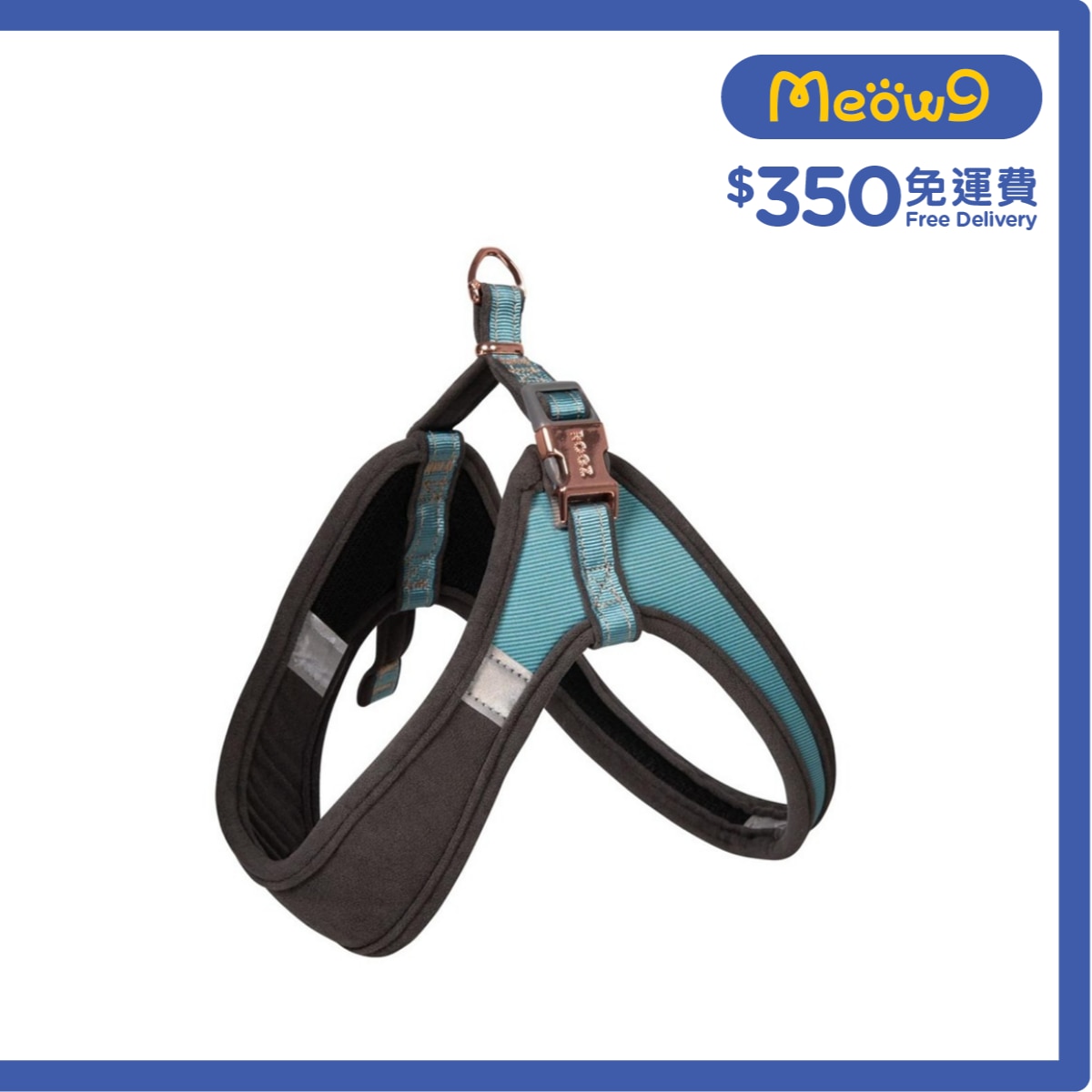ROGZ SJQ275 - TM 可調式胸帶 (M) - 松石綠色 - Rogz