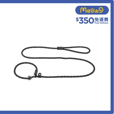 ROGZ HLXR09 - Moxon Led P帶 - 圓繩 (M) - 黑色 - Rogz