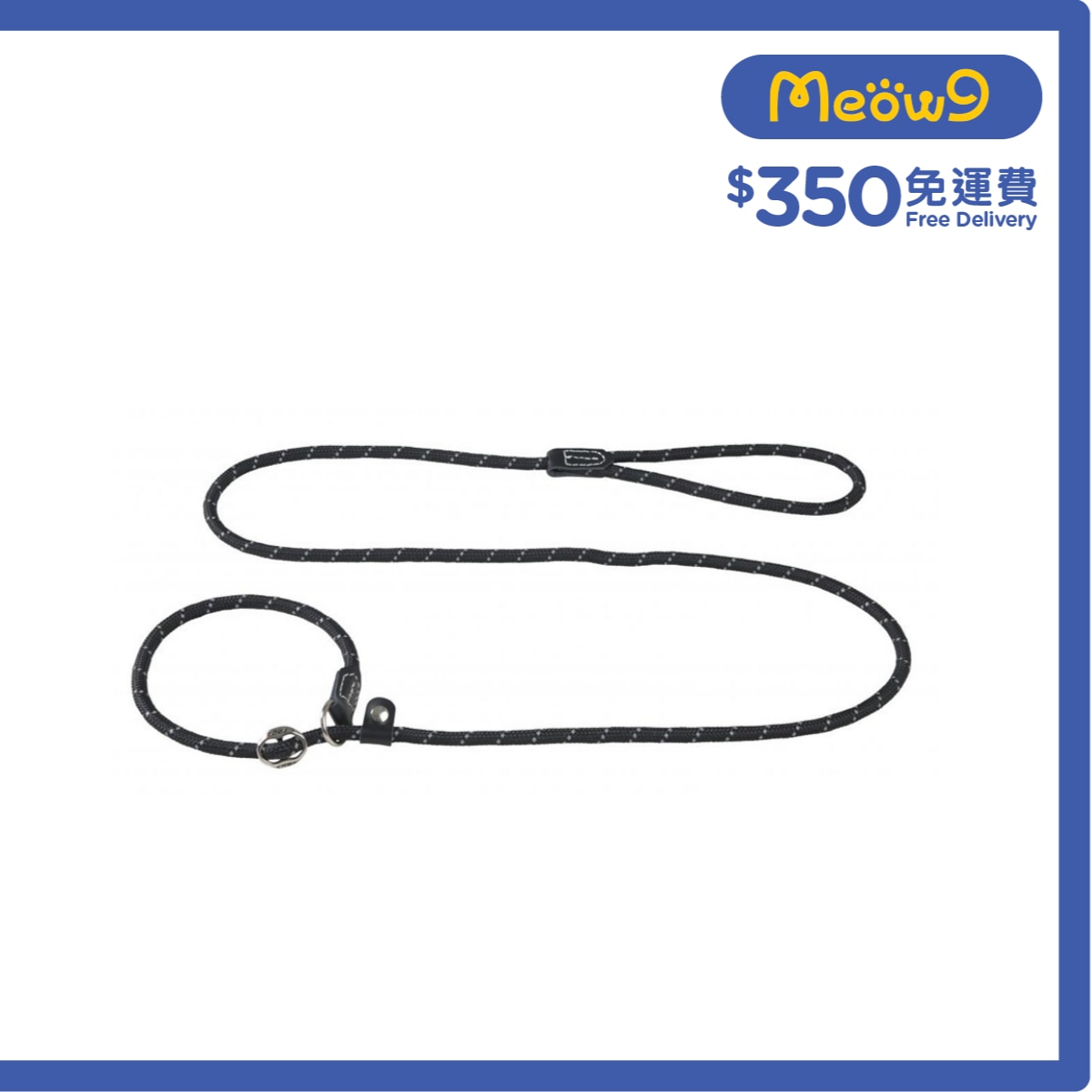 ROGZ HLXR09 - Moxon Led P帶 - 圓繩 (M) - 黑色 - Rogz