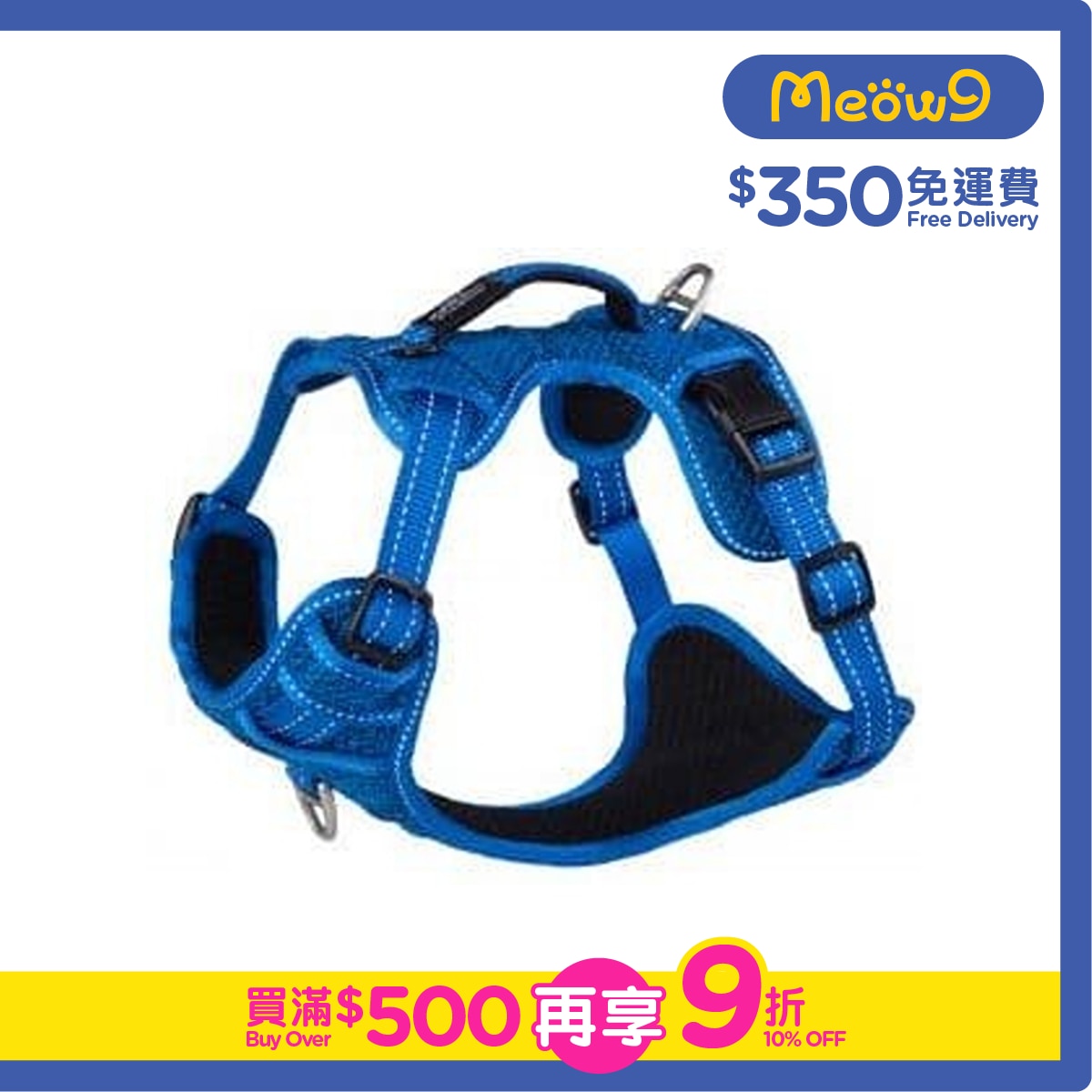 ROGZ Utility雙扣H型胸背帶(S) - 藍色 小型狗 - Rogz