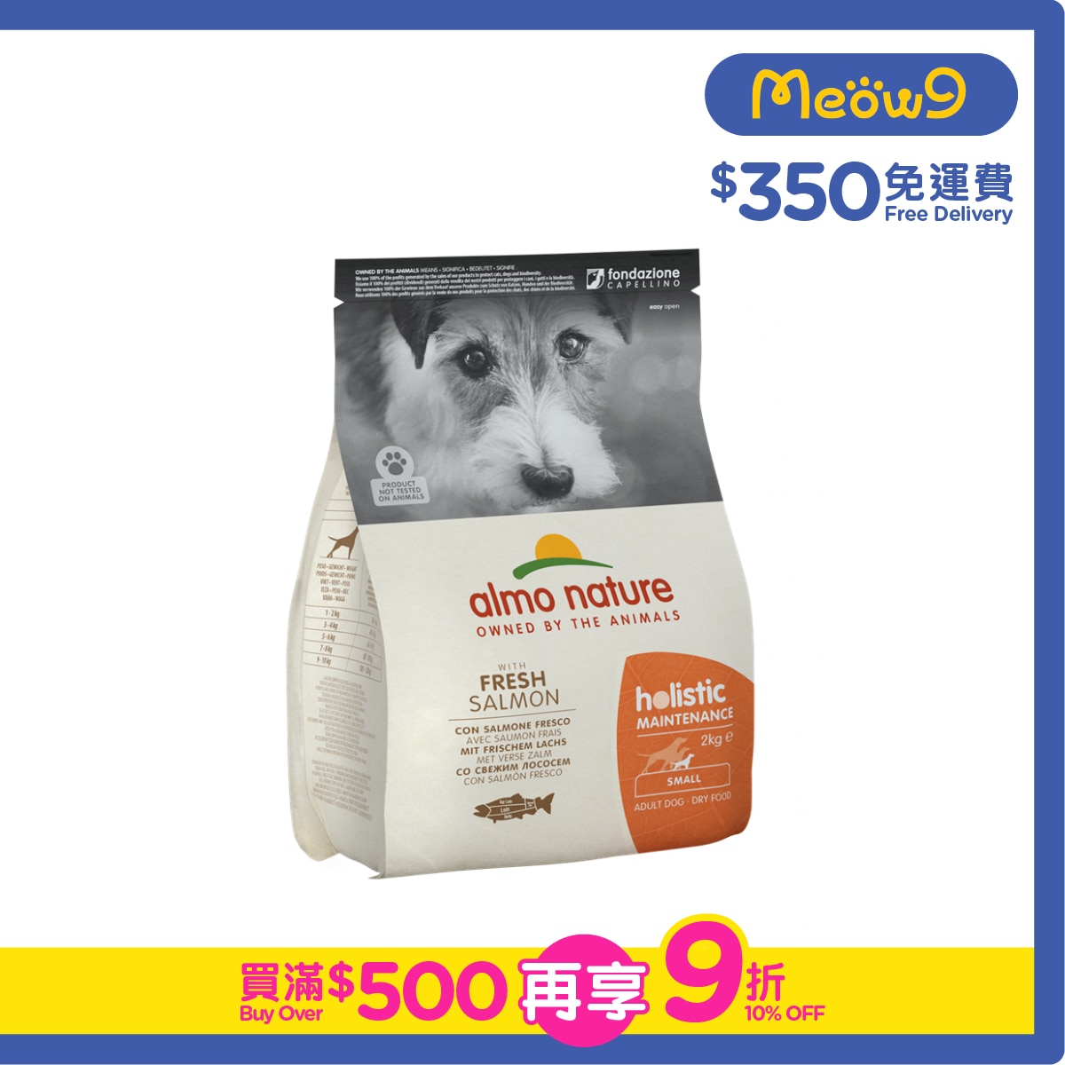 ALMO NATURE Holistic Maintenance - Salmon (2kg) almo nature Adult Dog Food (XS/S)