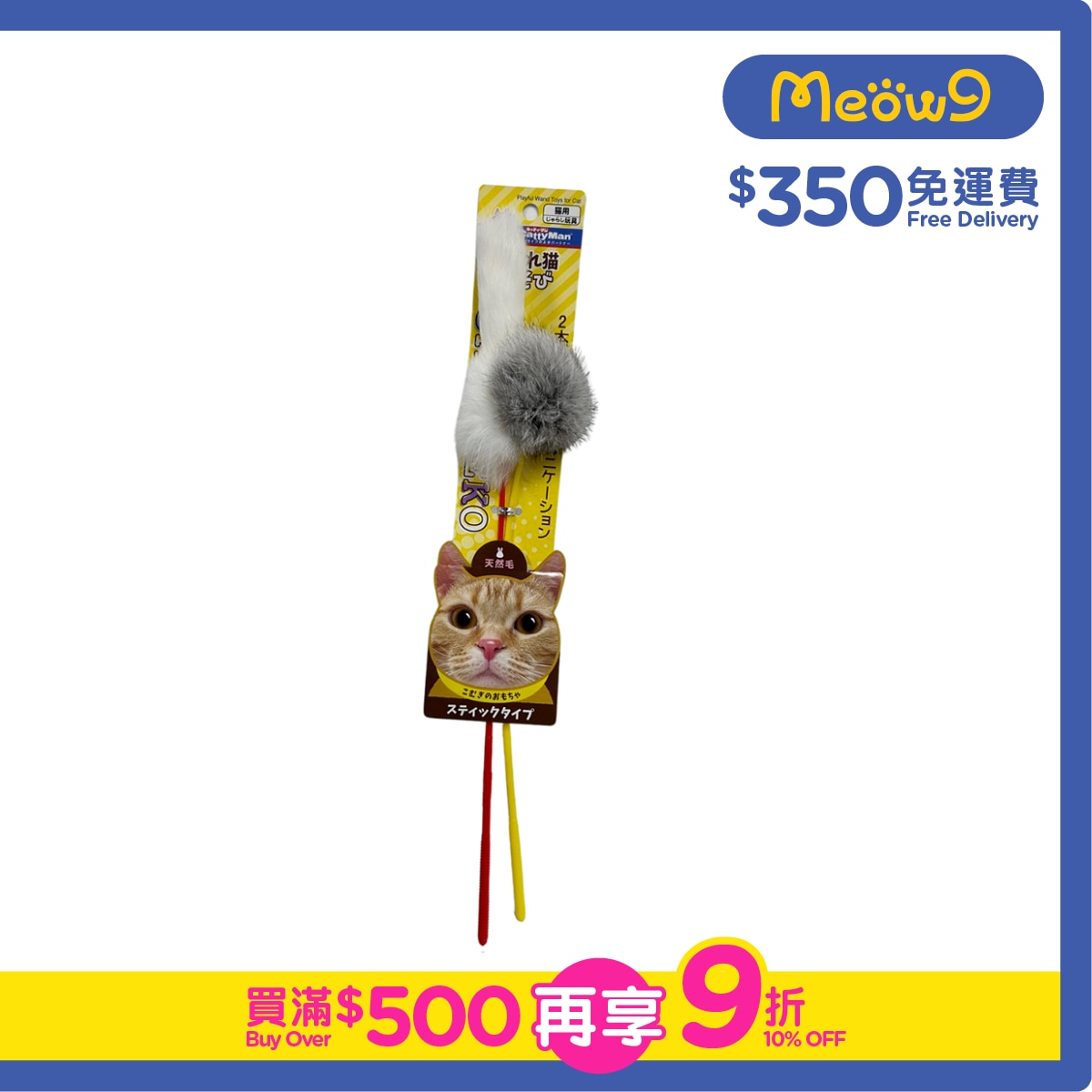 CATTYMAN Two-pack fishing rod toy- CattyMan