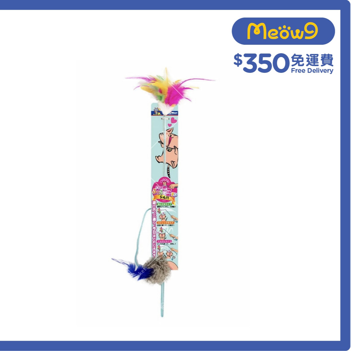 CATTYMAN Colorful springtail holding toy- CattyMan