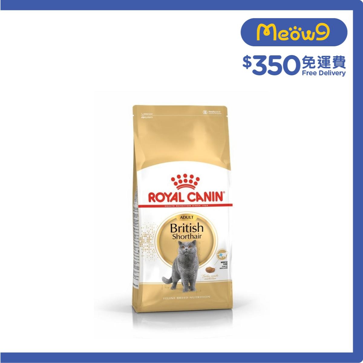 Royal canin british shorthair cat food 10kg shop