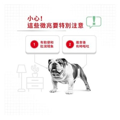 皇家 CCN成犬消化道加護主食袋裝狗濕糧(肉塊)(85g) - 皇家