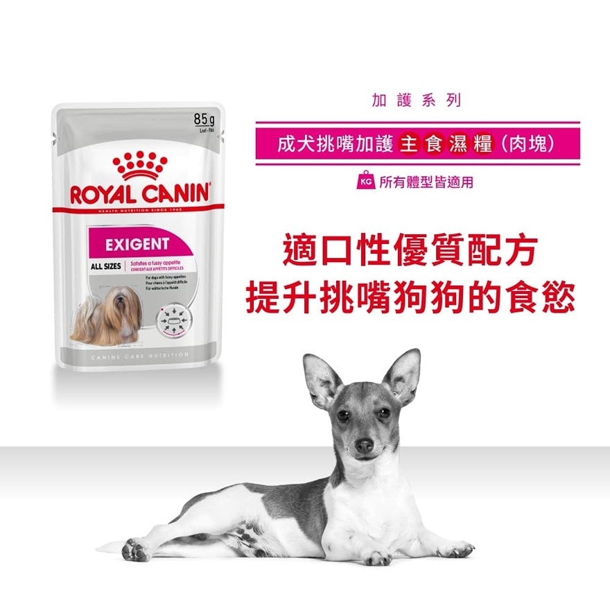 ROYAL CANIN CCN Exigent Adult Dog Pouch (Loaf) (85g)  - ROYAL CANIN