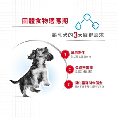 皇家 [箱裝優惠]SHN授乳母犬及初生犬配方狗罐頭(195gx12) - 皇家