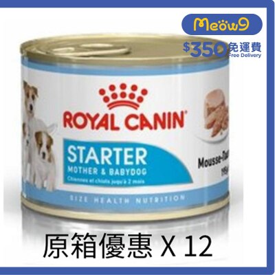 ROYAL CANIN SHN Starter Mousse for Mother & Babydog (195g x12) Dog Can  - ROYAL CANIN