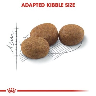 ROYAL CANIN FHN Regular Sterilised Adult Cat Food (4kg) STL37 - ROYAL CANIN