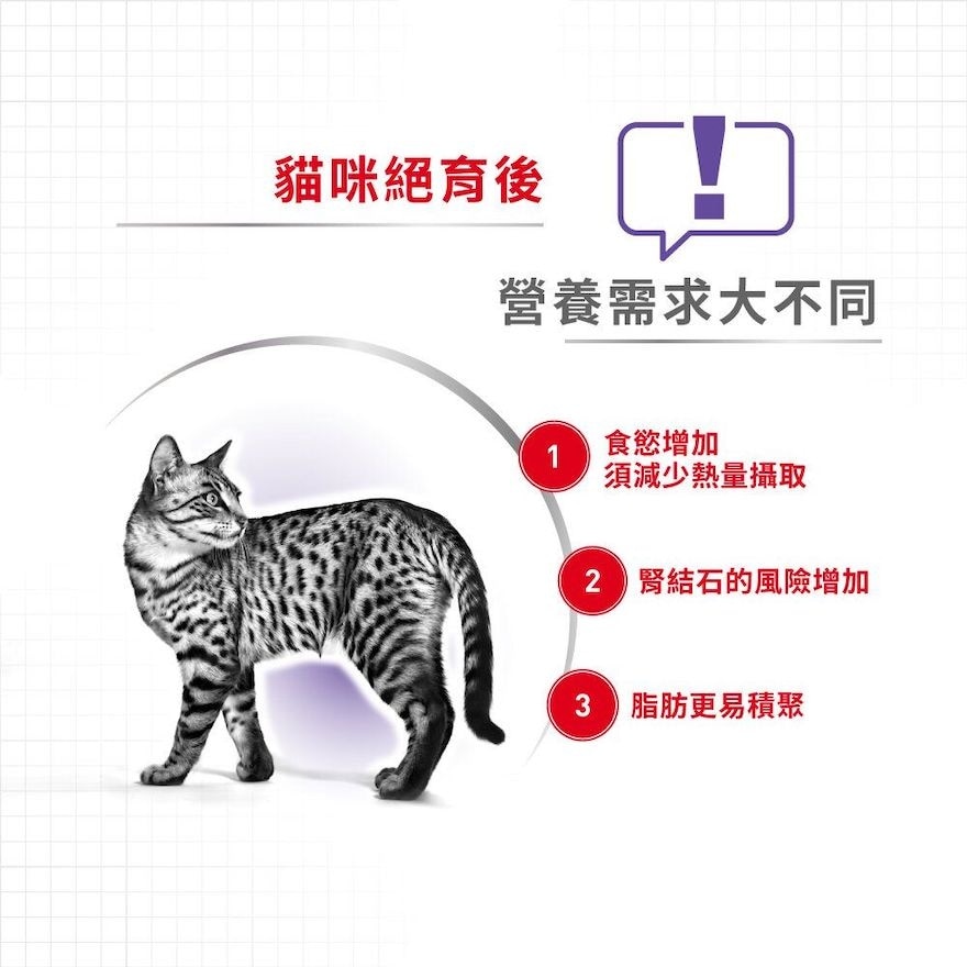 ROYAL CANIN FHN絕育成貓營養配方(10kg)貓糧 - 皇家