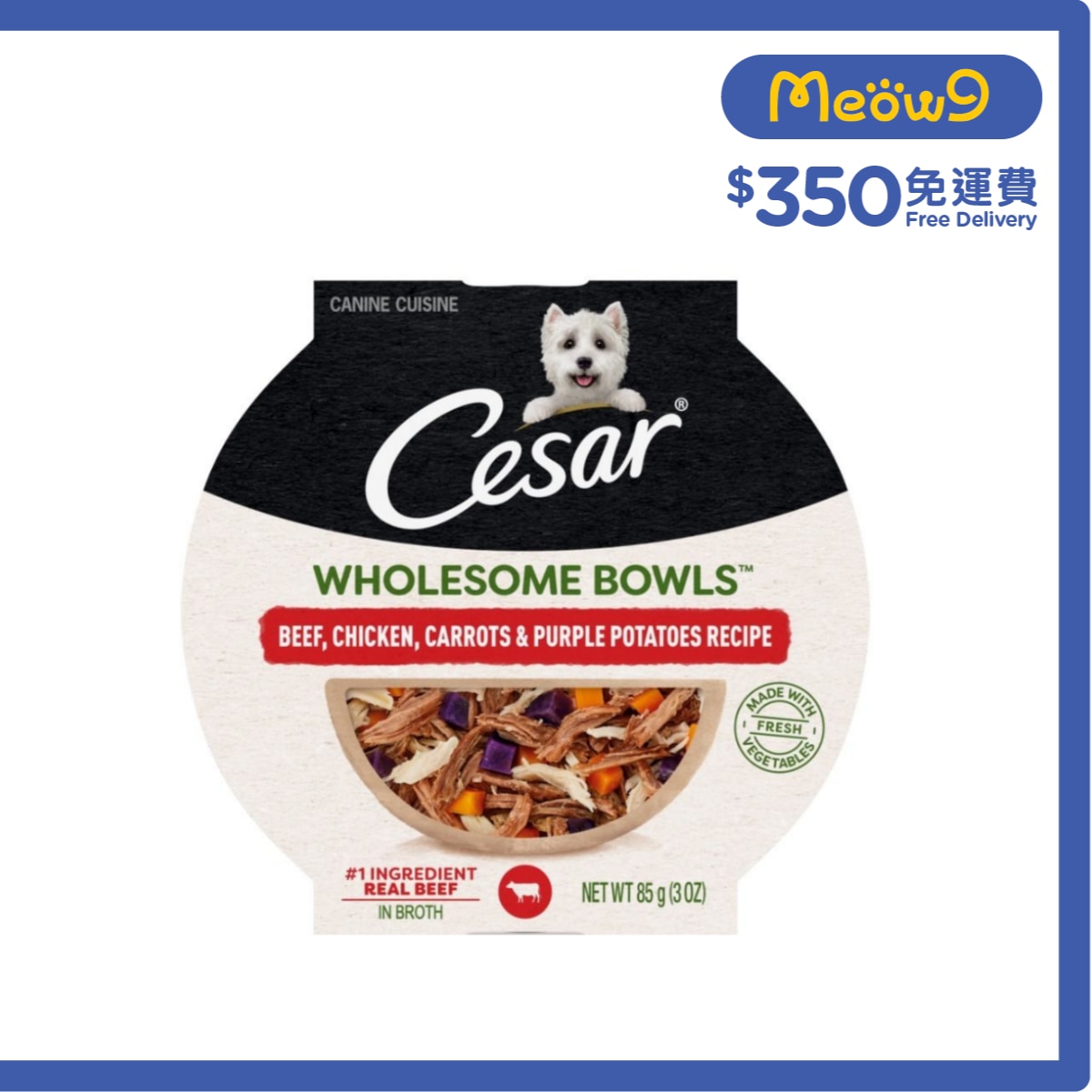 CESAR Beef; Chicken; Carrots & Purple Potatoes - Wholesome Bowls™ (85g) Dog Wet Food Bowl 13776